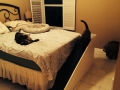 LB and Rosie in the guest room.  Check out the ramp!